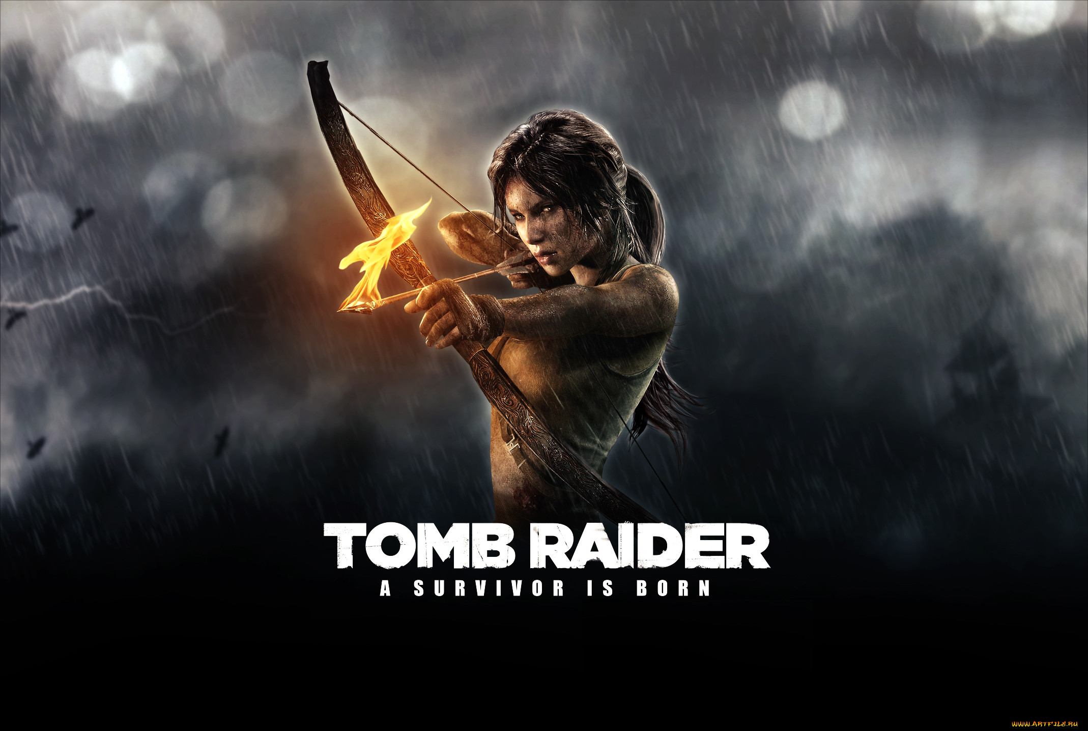 tomb, raider, 2013, , , , 